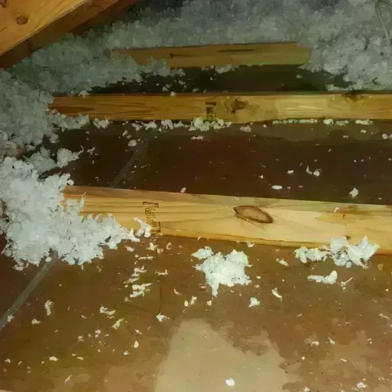 Attic Water Damage in New London, IA